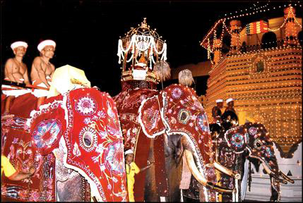 sri_lanka_esala_perahera_kandy_elephant